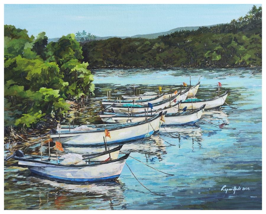 Boats at Agonda 4