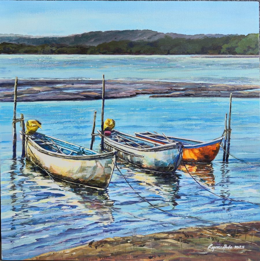 Boats at Ribandar Patto